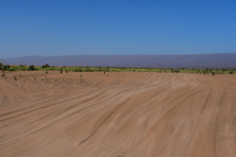 Bluehende Wueste Sandpiste