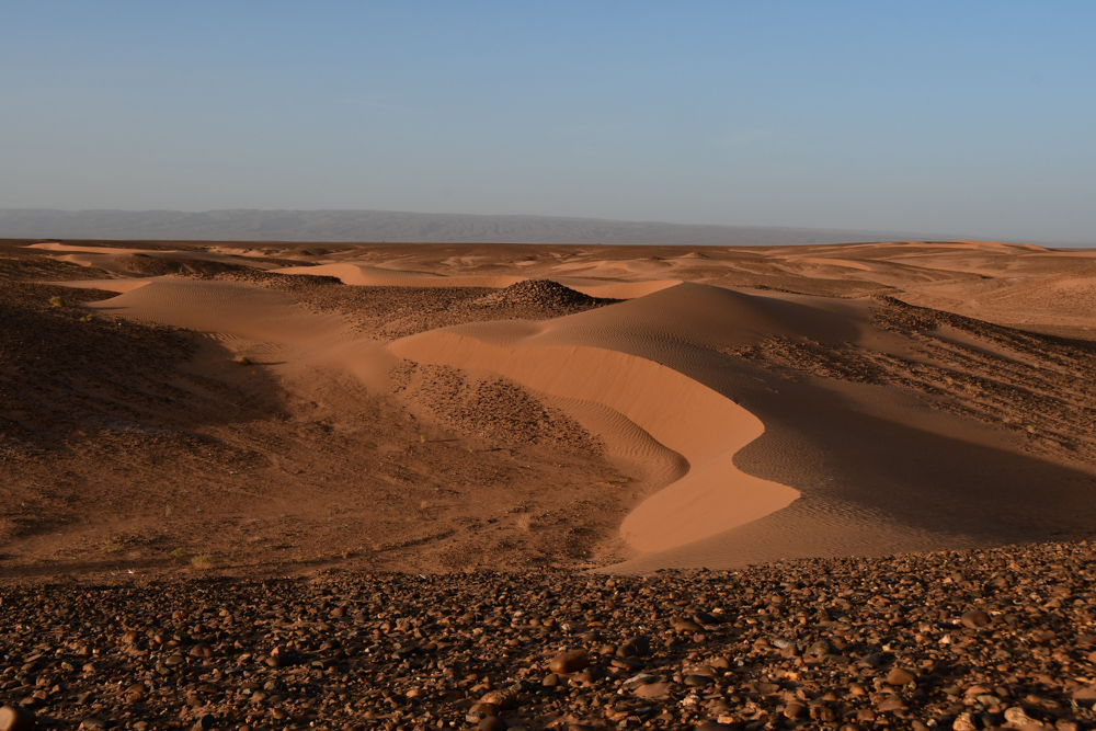 Kleine Sandduenen in Abendstimmung Richtung Erg Chegaga