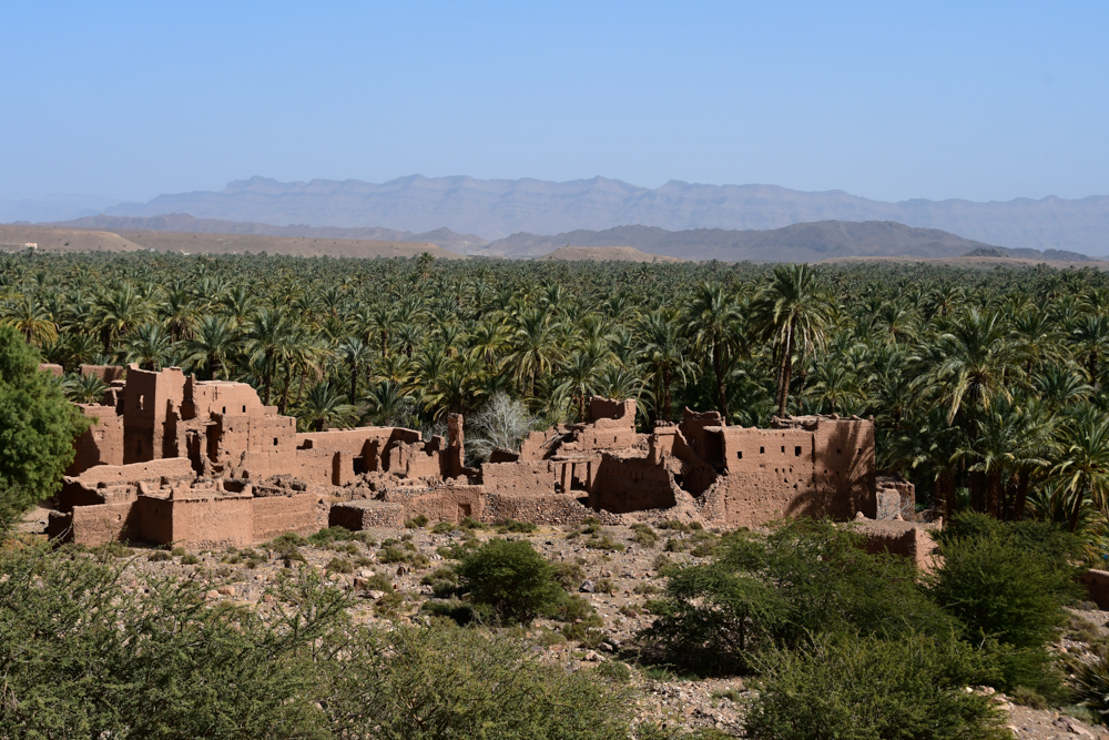 Lehmruine Palmenoase Oued Draa