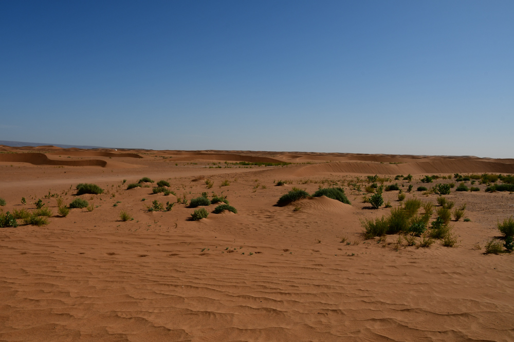 Sandpiste zwischen kleinen Duenen