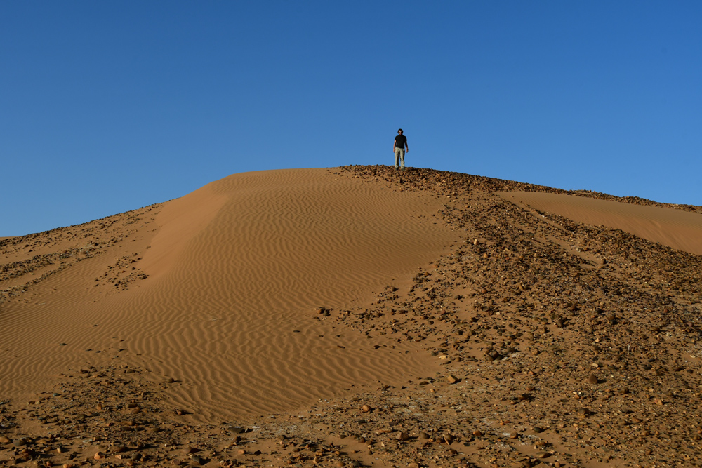 Tobi auf Sandduene mit Steinen