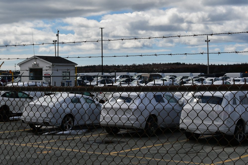 Manny unter Neuwägen am Hafen Halifax