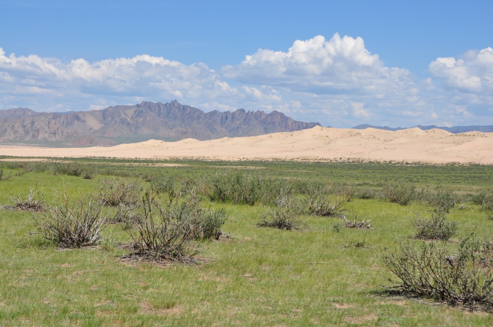 Wiesen, Sanddünen, Berge