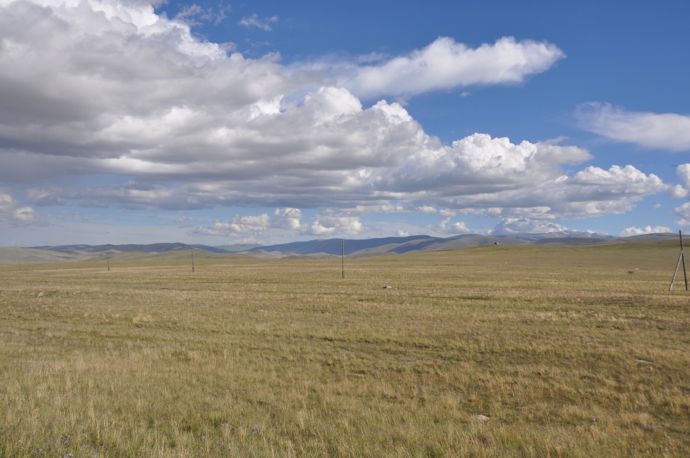 Ausgetocknete Graslandschaft