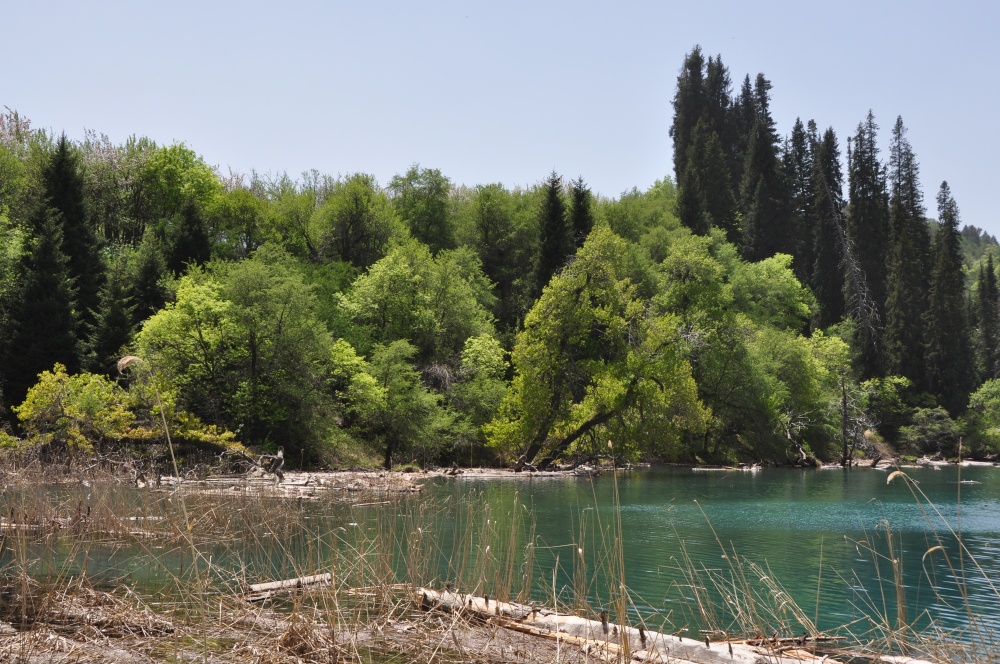 Bergsee Sary-Chelek