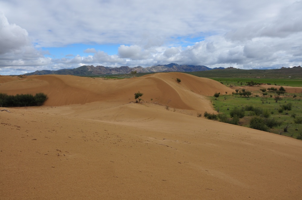 Dünen Mongol Els