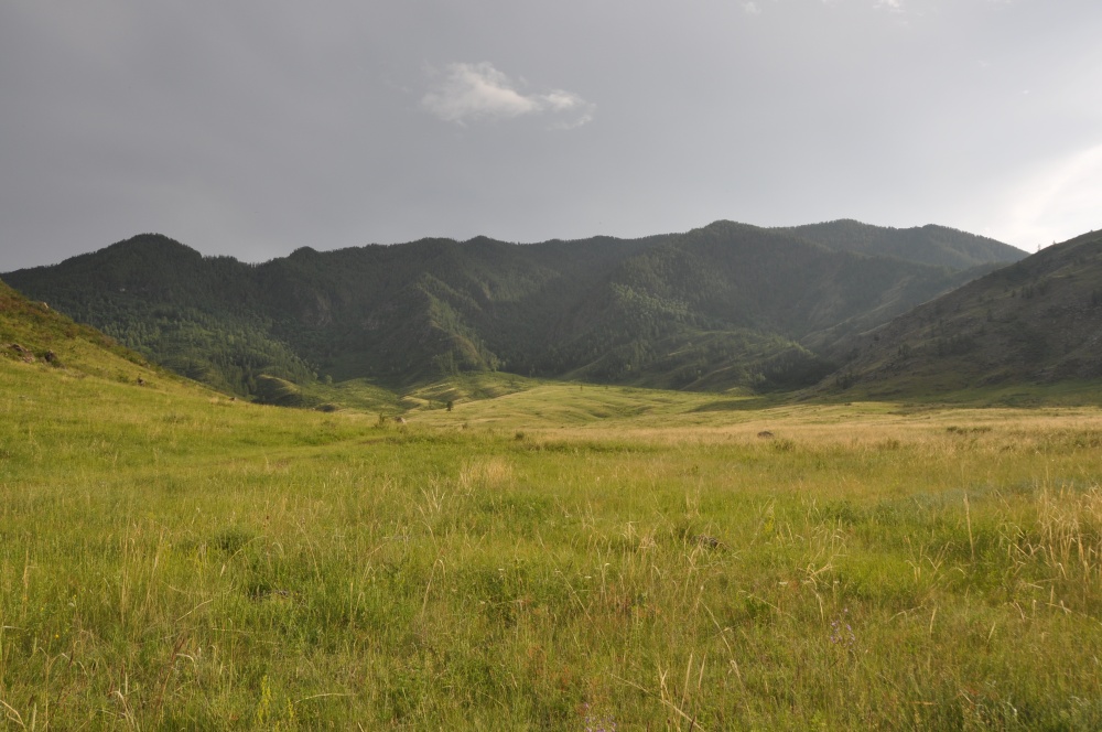 Hügelzug, Wiese im Altai