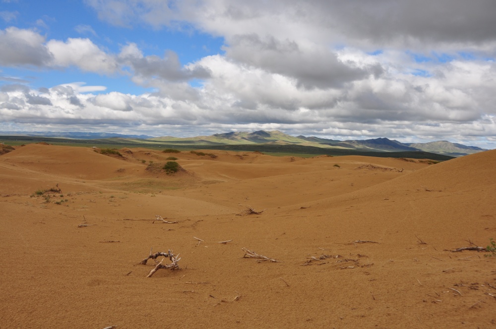 In den Dünen Mongol Els