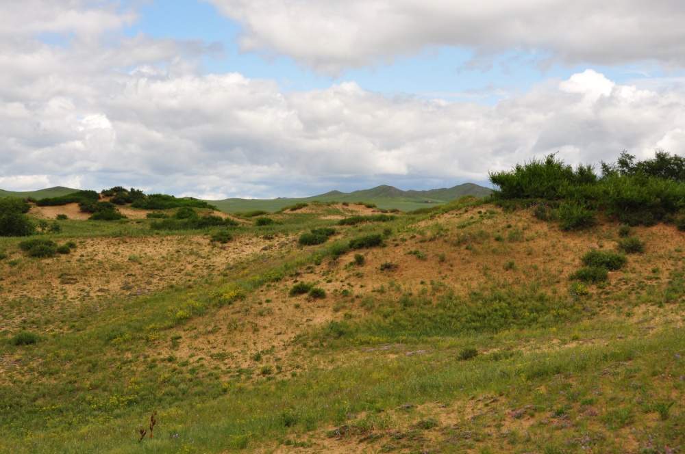 Kleine bewachsene Dünen