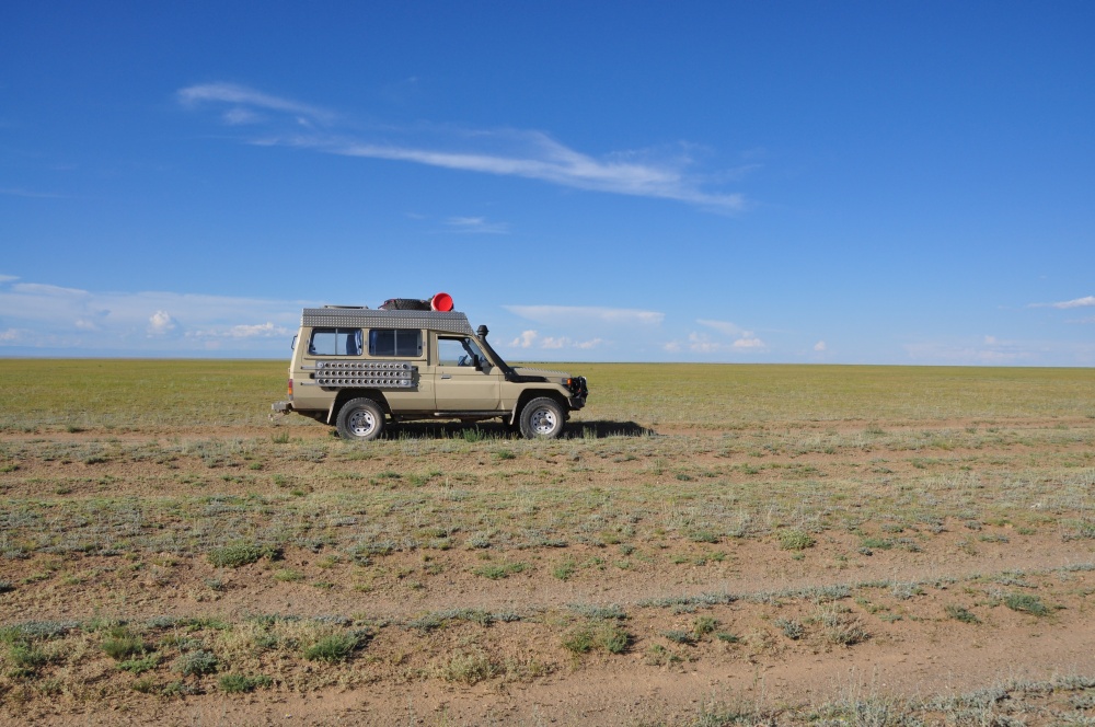 Manny in der Steppe