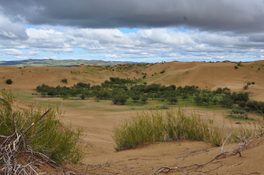 Oase zwischen den Mongol Els Dünen