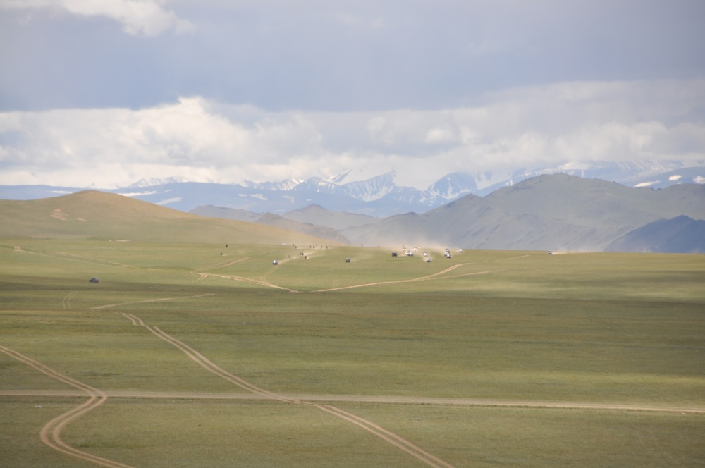 Pferderennen am Naadam