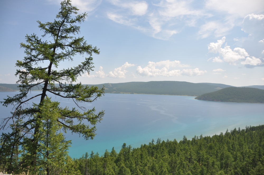 Wald, Khövsgöl Nuur