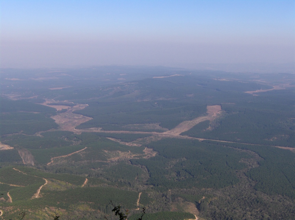 Ausblick über die Provinz Mpumalanga