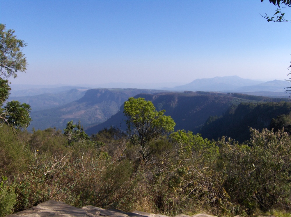 Grünes Panorama in Mpumalanga