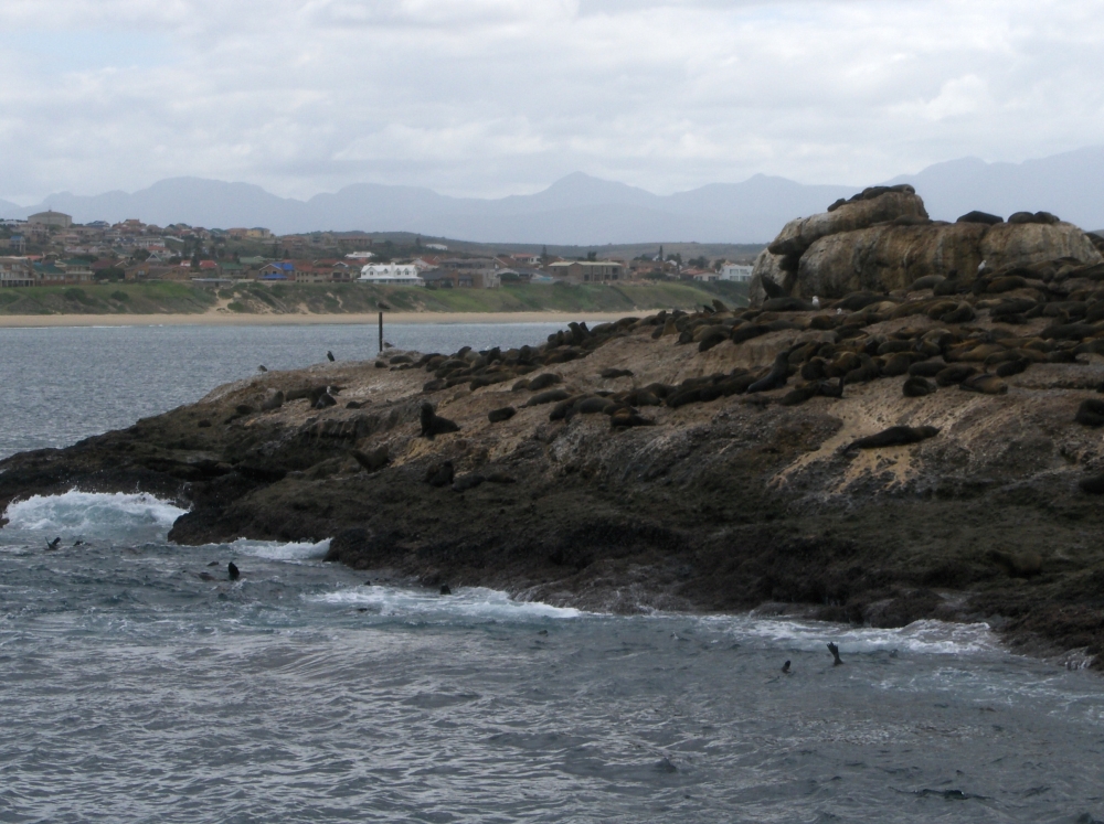 Seal Island