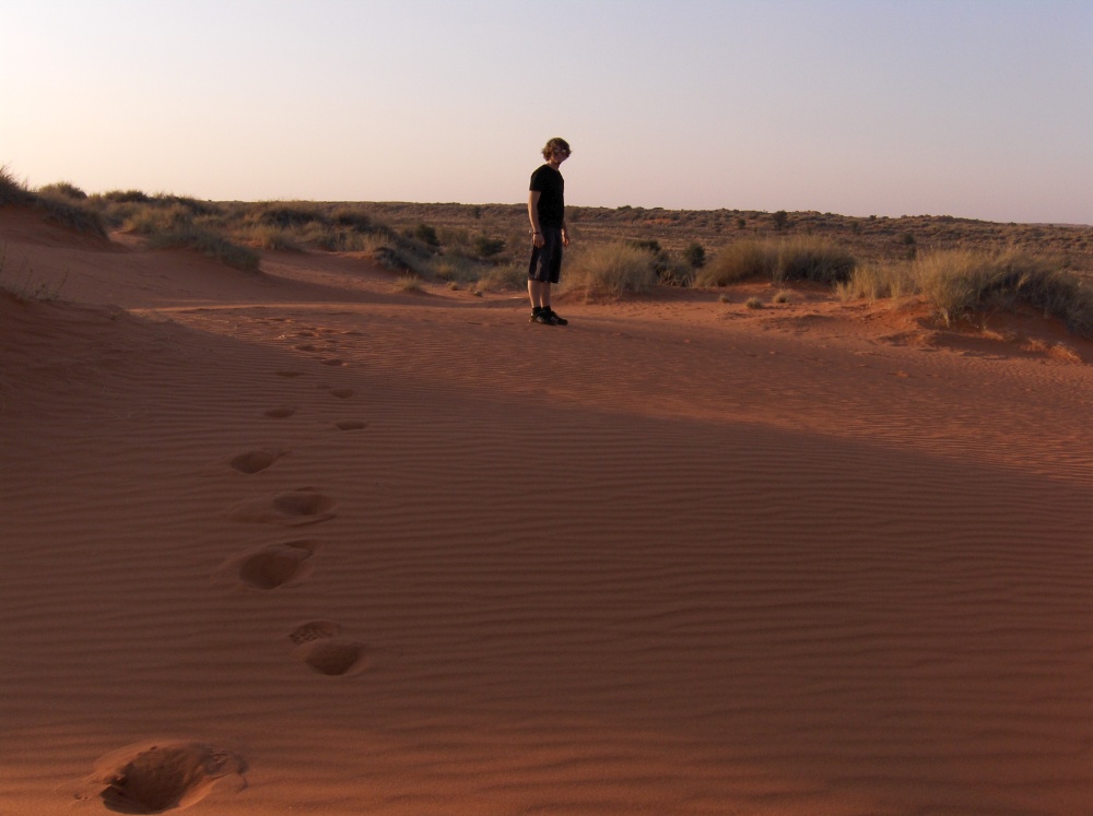 Tobi spaziert durch Sand