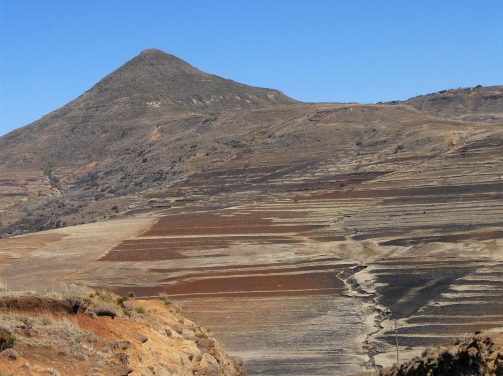 Trockene, abgebrannte Felder