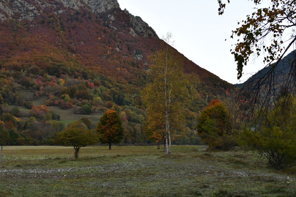 Herbstbäume, Übernachtungsplatz, französischer Pass