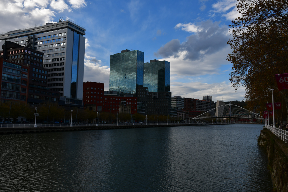 Bilbao Fluss Bruecke Hochhaeuser