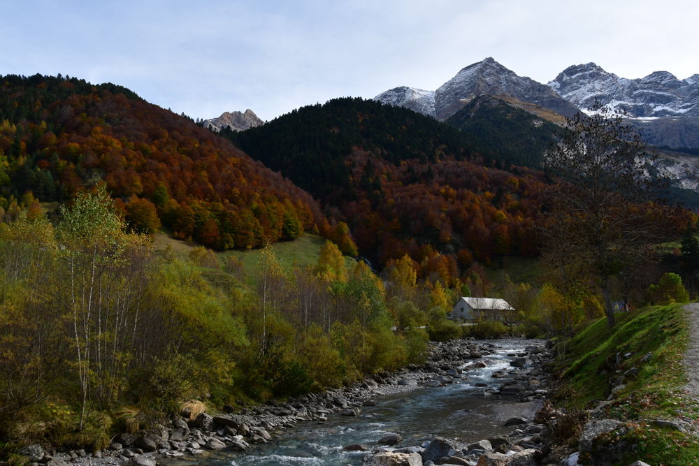 Fluss farbiger Wald Schneeberge