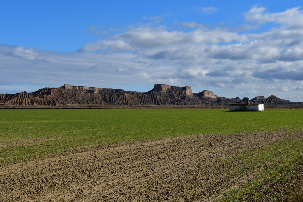 Halbwueste Bardenas Reales gruene Wiese Haus