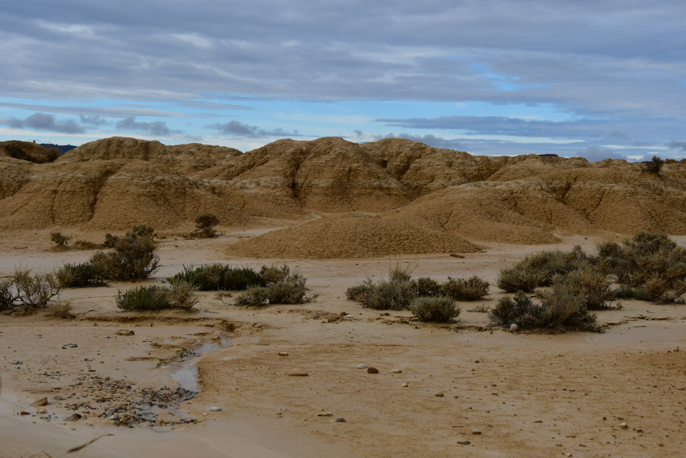 Halbwueste Bardenas Reales trockene Buesche ockerfarbige Felsen