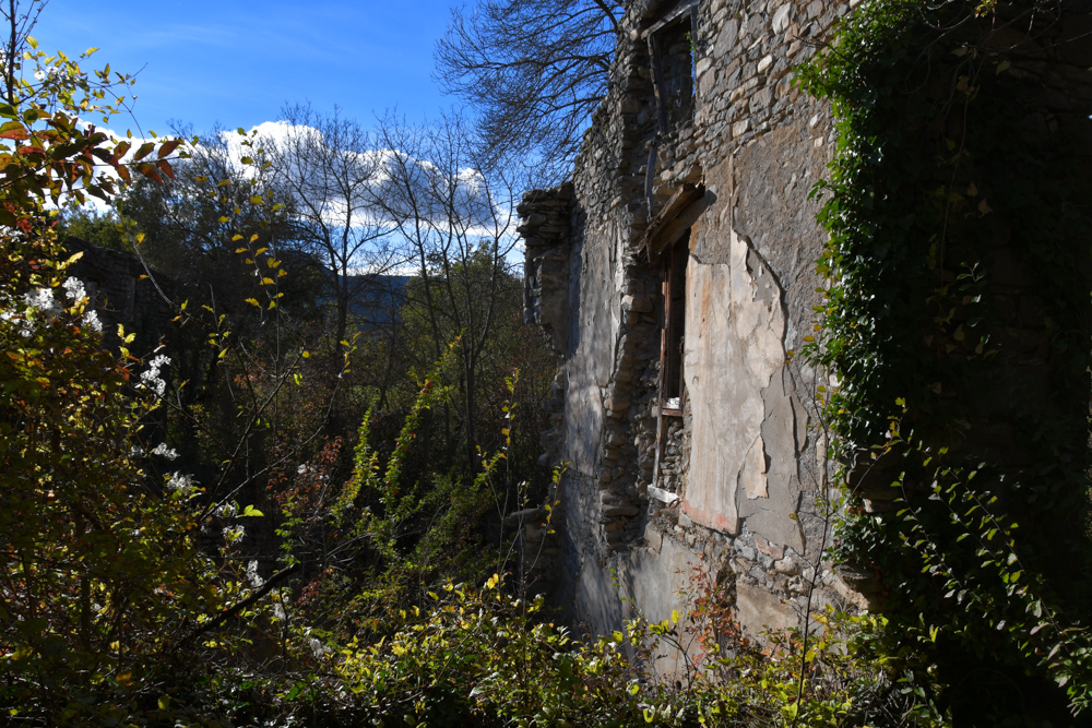 Hausruine Seitenwand Gebüsch