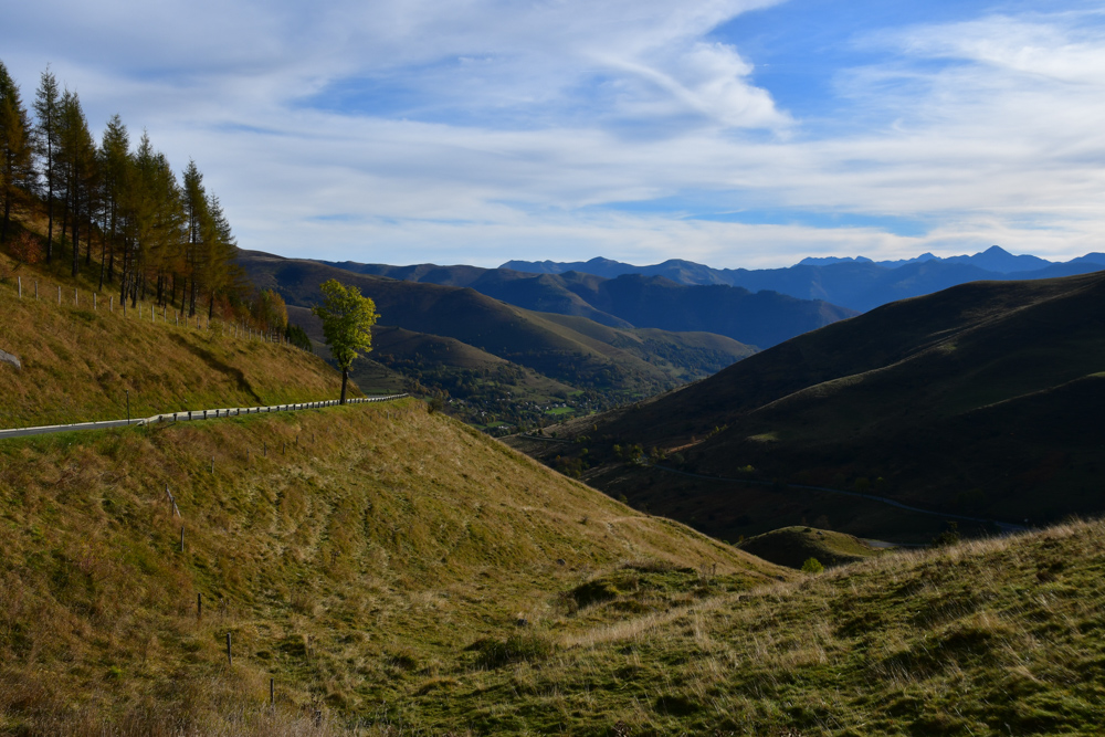 Herbstliche Grashügel Pyrenäen