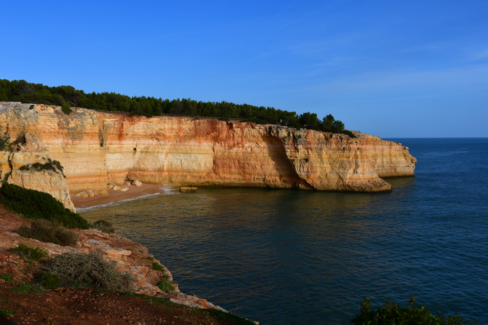 Ockerfarbige Klippe mit Baeumen Meer