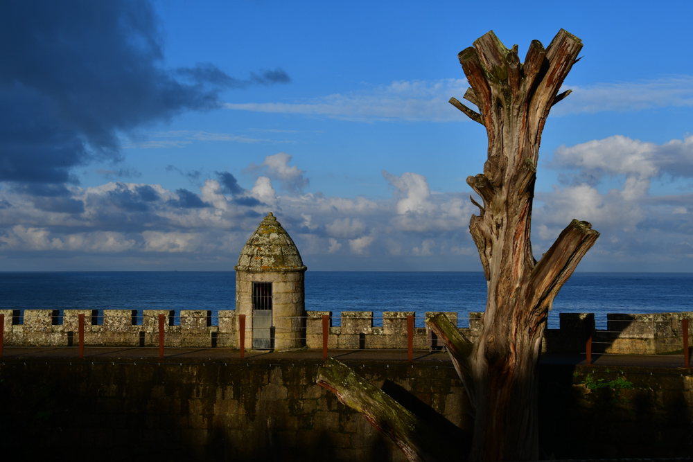 Tuermchen auf Mauer toter Baumstamm Meer