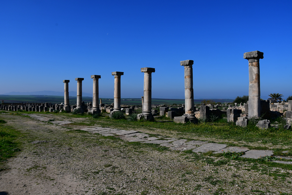 Volubilis Säulen