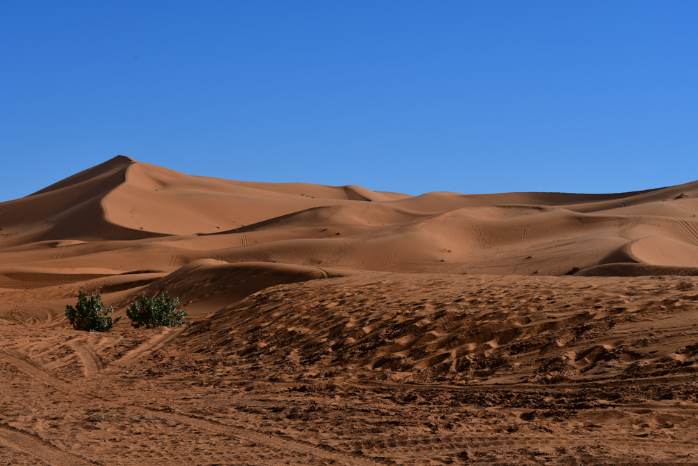 Am Duenenrand Erg Chebbi