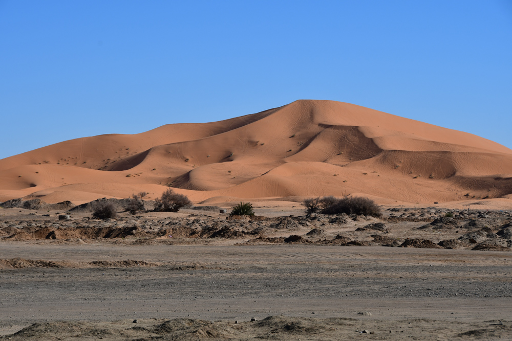 Duene von Erg Chebbi