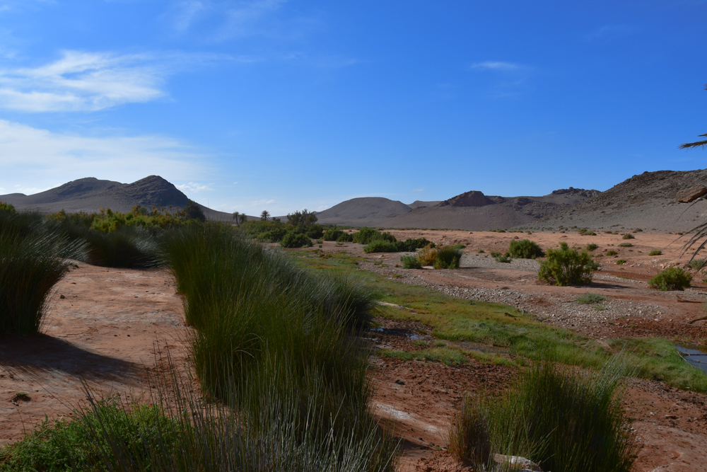 Guelta nahe Tan Tan