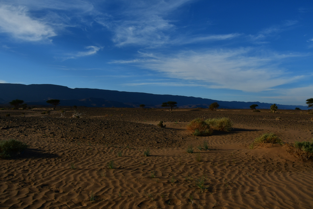 Kleine Sandduenen Akazien Oued Draa blauer Himmel