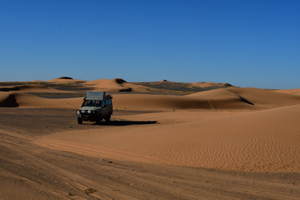 Manny zwischen kleinen Sandduenen Ostumfahrung Erg Chebbi