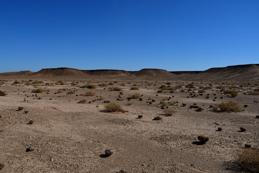 Schwemmtoneben im Oued Draa