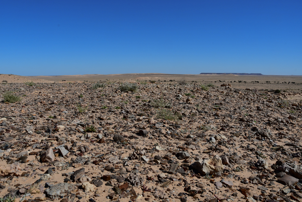 Steine Sand Wueste zwischen Esmara Laayoune