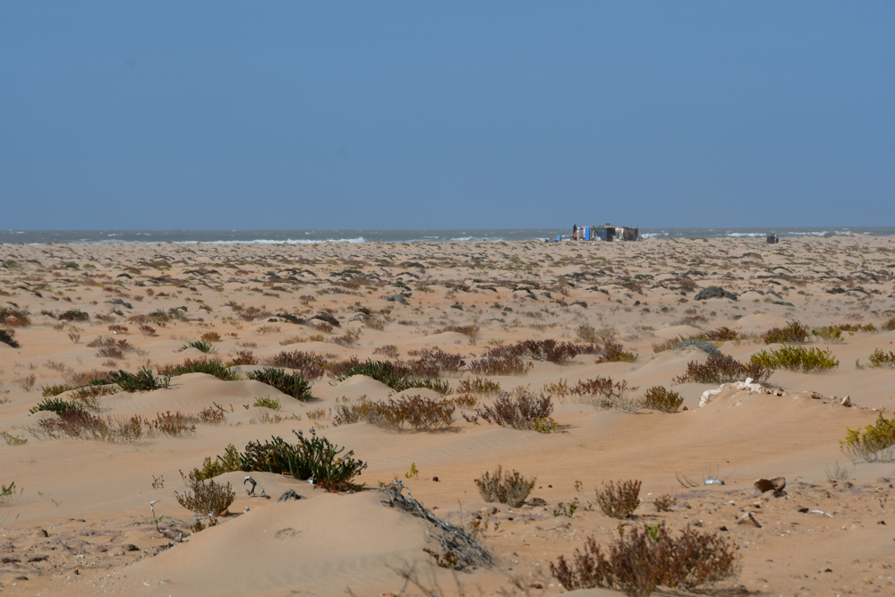 Strand mit Fischerhuette Atlantik